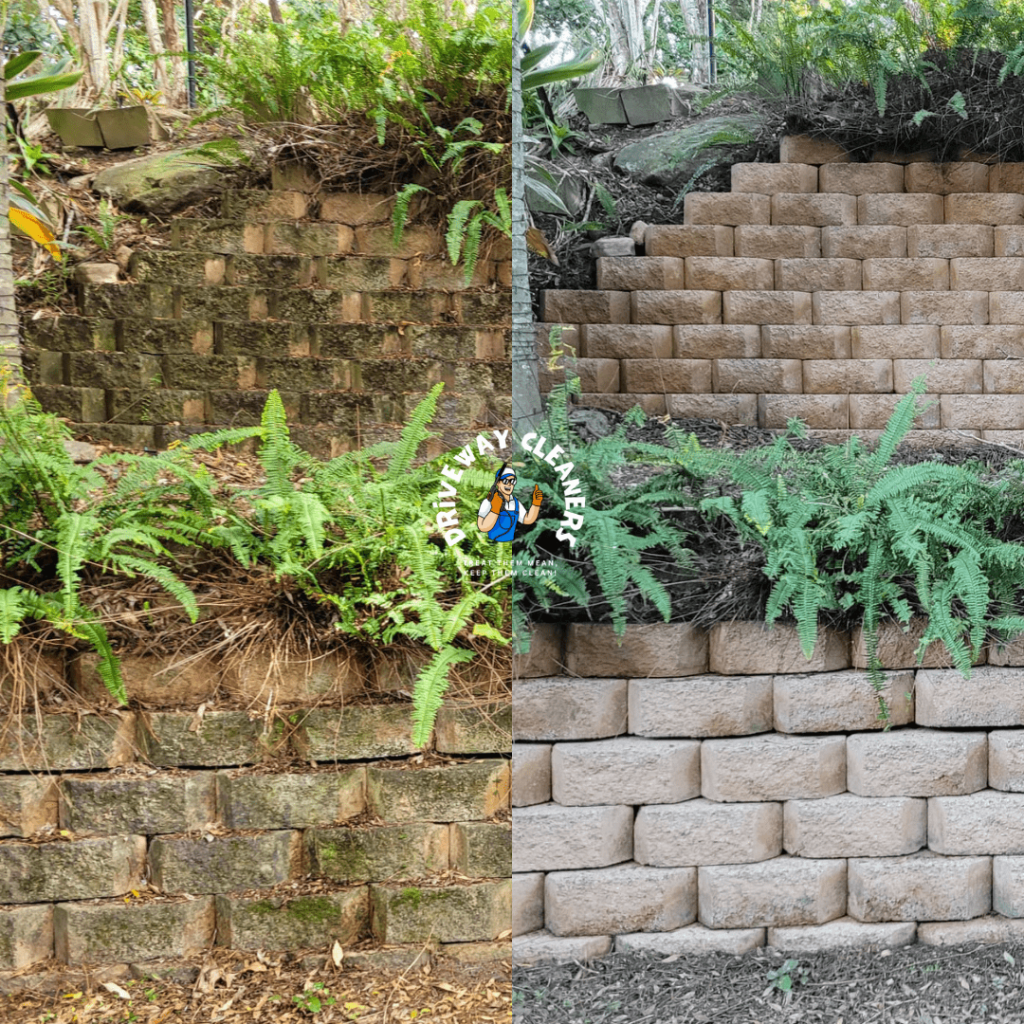 Deck and Fence Cleaning in Brisbane